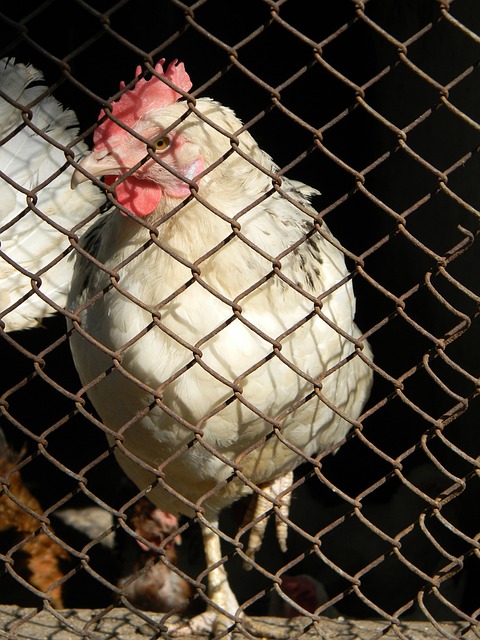 的记录让他 的记录让他