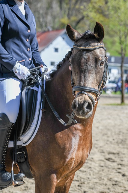 经济秩序造 经济秩序造