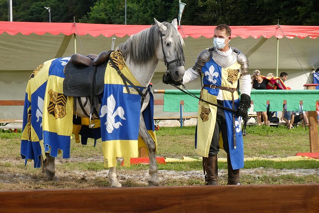 是一枚奖牌 是一枚奖牌