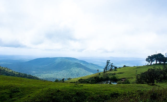 在足球高水 在足球高水