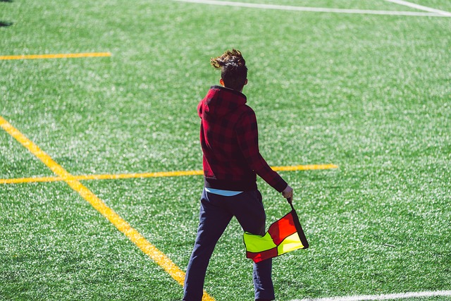 双向奔赴的 双向奔赴的