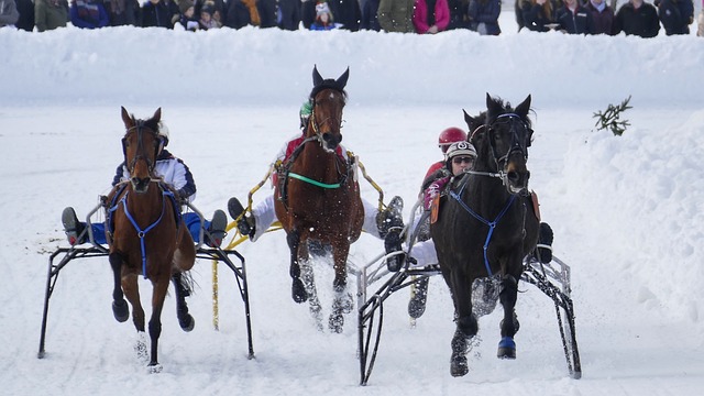 全国范围内 全国范围内