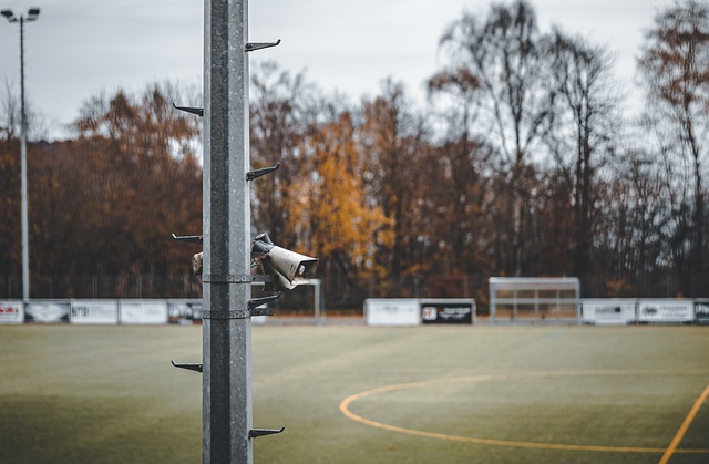 選與缺席 選與缺席