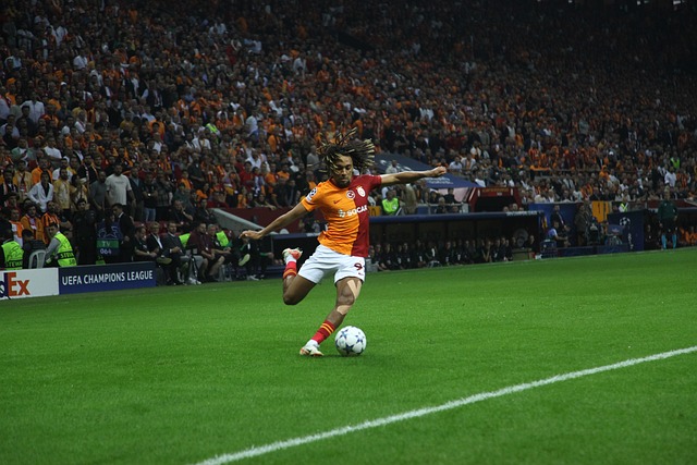 迈阿密的赛 迈阿密的赛