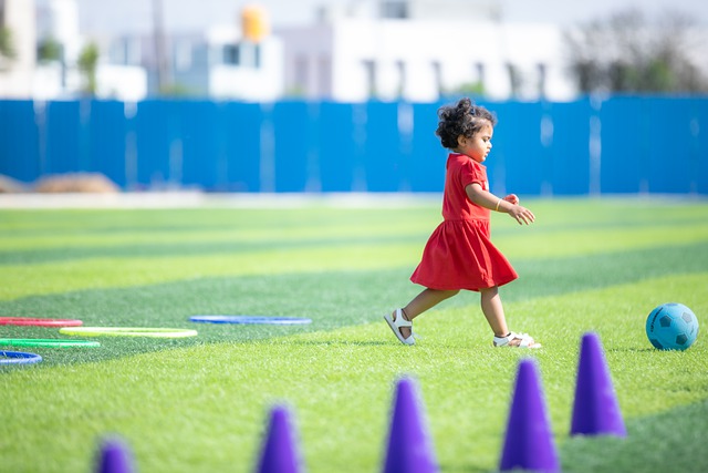 同样重要 同样重要
